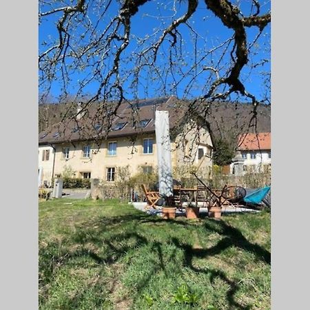Voeens, St-Blaise, Logement Entier - 2 Chambres Marin 外观 照片